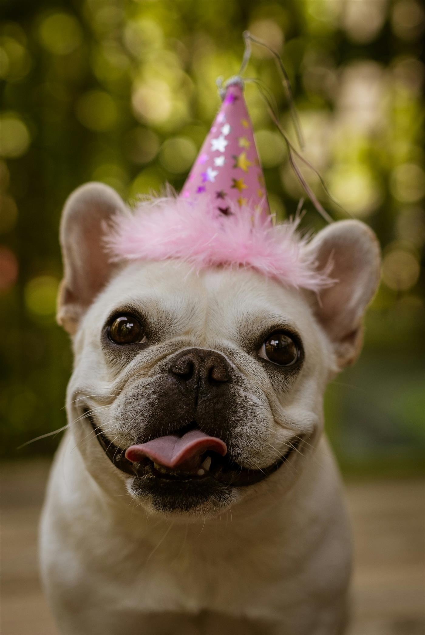 Birthday celebration