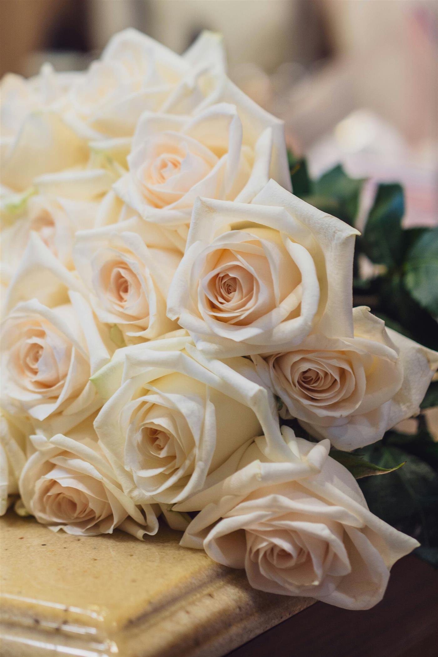 Memorial roses